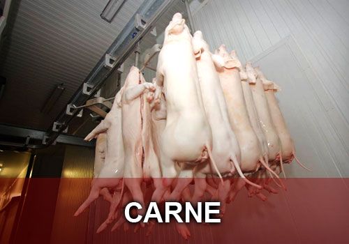 Comprar carne online