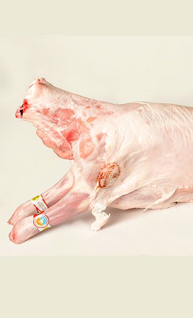 lechazo proveniente de la raza autóctona Churra